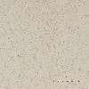 Rako Taurus Granit TAA12061 Tunis Мозаика напольная 10x10 30x30 см
