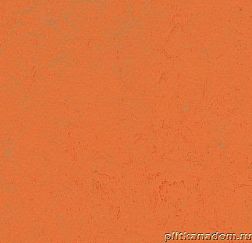 Forbo Marmoleum Concrete 3738-373835 orange glow Линолеум натуральный 2,5 мм