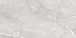 Staro Silk Armani Silver Серый Матовый Керамогранит 60х120 см