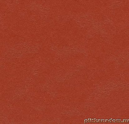 Forbo Marmoleum Walton Cirrus 3352 Berlin red Линолеум натуральный 2,5 мм