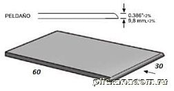 Apavisa Evolution Grey Lapp Peldano Solid-30 Ступень 29,75х59,55 см