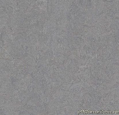Forbo Marmoleum Fresco 3866 eternity Линолеум натуральный 2,5 мм