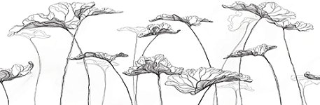 Декор Meissen Вставка Elegance цветы белый 25х75 см
