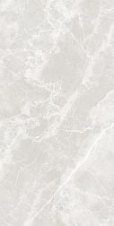 Fakhar Alp Light Gray Серый Полированный Керамогранит 60х120 см