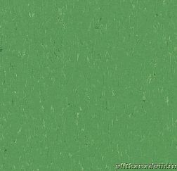 Forbo Marmoleum Piano 3647-364735 nettle green Линолеум натуральный 2,5 мм