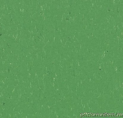 Forbo Marmoleum Piano 3647-364735 nettle green Линолеум натуральный 2,5 мм