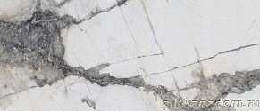 Neodom Titanium Renoir Серый Глянцевый Керамогранит 120x280 см