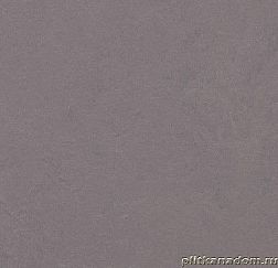 Forbo Marmoleum Concrete 3730-373035 Stella Линолеум натуральный 2,5 мм