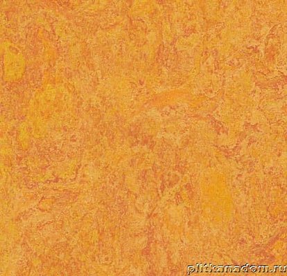 Forbo Marmoleum Real 3226 marigold Линолеум натуральный 4 мм