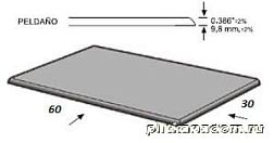 Apavisa Evolution Grey Lapp Peldano Solid Angulo Ступень 29,75х59,55 см