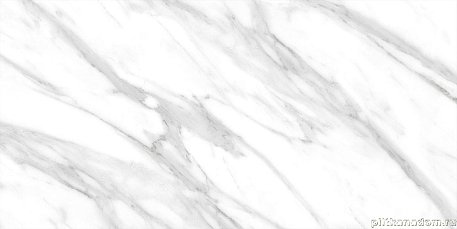 Absolut Gres Calacatta Grey Glossy Серый Полированный Керамогранит 60x120 см
