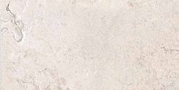 Ariana Memento Limoges White Ant R Бежевый Матовый Ректифицированный Керамогранит 60x120 см