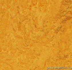 Forbo Marmoleum Real 3125 golden sunset Линолеум натуральный 4 мм