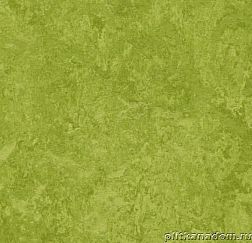 Forbo Marmoleum Decibel 324735 green Линолеум натуральный 3,5 мм