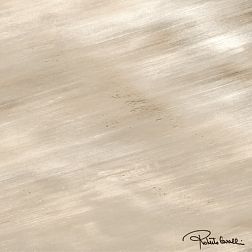 Roberto Cavalli Tanduk CONCHIGLIA RETT FIRMA Декор 60x60 см