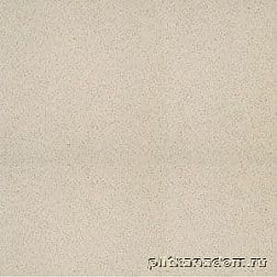Rako Taurus Granit TAL61061 Tunis Напольная плитка полиованная 60x60 см