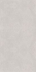 Fakhar Vangard Light Gray Серый Матовый Керамогранит 60х120 см