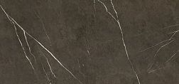 Apavisa Pietra grey polished Керамогранит 119,3x260 см