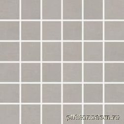 Rako Trend DDM06654 Grey Мозаика 5х5 30х30 см