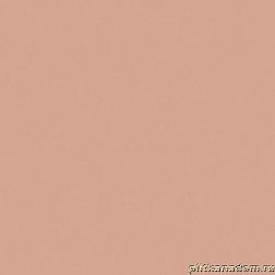 Equipe Bauhome Rose Розовый Матовый Керамогранит 20x20 см