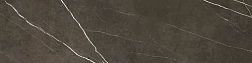Apavisa Pietra grey natural Керамогранит 59,55x260 см
