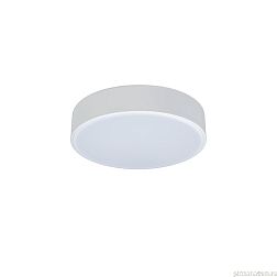 10002/12 White Потолочный светильник LOFT IT Axel