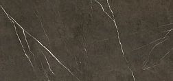 Apavisa Pietra grey natural Керамогранит 119,3x260 см