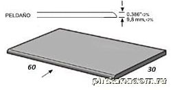 Apavisa Evolution Grey Lapp Peldano Solid-60 Ступень 29,75х59,55 см