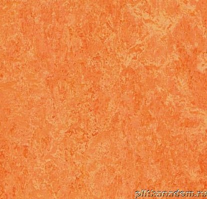 Forbo Marmoleum Real 3241 orange sorbet Линолеум натуральный 2,5 мм