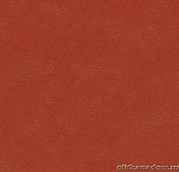 Forbo Marmoleum Walton Uni  3352-335235 Berlin red Линолеум натуральный 2,5 мм