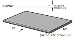 Apavisa Evolution Grey Lapp Peldano Solid-60 Ступень 59,55х59,55 см