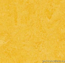 Forbo Marmoleum Real 3251 lemon zest Линолеум натуральный 3,2 мм