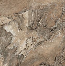 Ceracasa Dolomite Noce Rect. Напольная плитка 49,1x49,1 см
