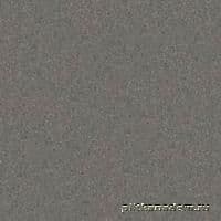 Rako Taurus Granit TSPEM067 Tibet Плинтус 20x9 см