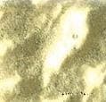 JNJ Gold Yellow W Стеклянная мозаика резанная 1х1 см