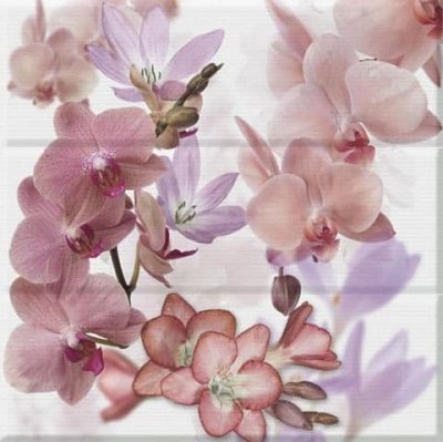 Absolut Keramika Aure Orchides Вerenjena Панно 45х45 (3 шт.)