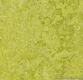 Forbo Marmoleum Decibel 322435 chartreuse Линолеум натуральный 3,5 мм