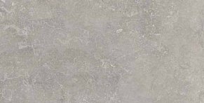 Ariana Memento Bruges Grey Ant R Серый Матовый Ректифицированный Керамогранит 60x120 см