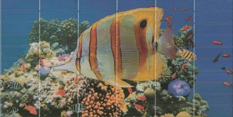 Decocer Sunset Dеcor 1 Aquarium (большая рыбка) Декор 25х50