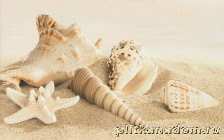 Gracia Ceramica Amalfi Sand Декор 25х40