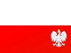 Польская плитка