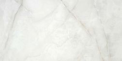 Stylnul (STN Ceramica) Baltra Pearl Rect Серый Глянцевый Ректифицированный Керамогранит 60x120 см