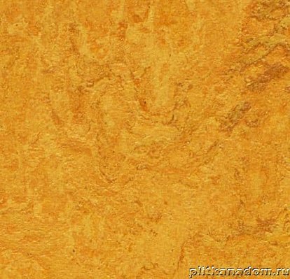 Forbo Marmoleum Real 3125 golden sunset Линолеум натуральный 2 мм