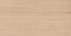 Azori Rustic Beige Бежевая Матовая Настенная плитка 31,5x63 см