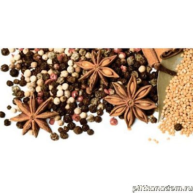 Lasselsberger-Ceramics Spices 1641-8615 Декор Spices-1 19,8х39,8