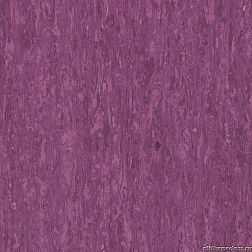 Tarkett IQ Optima Purple 0255 Виниловая плитка 610х610