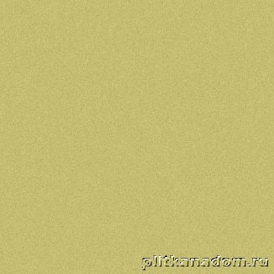 Levantina Basic Green Керамогранит 50х100x0,35
