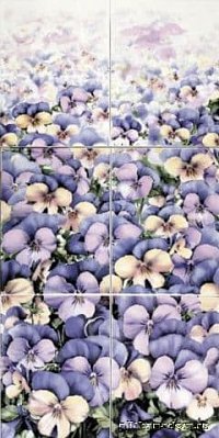 Polcolorit Fiori Viola Pole Панно 50х100 (6 плиток)