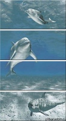 Goa Delfin-4 Панно (компл из 4-х шт) 60х108