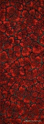 Venus Diablo Red Настенная плитка 25,3x70,6